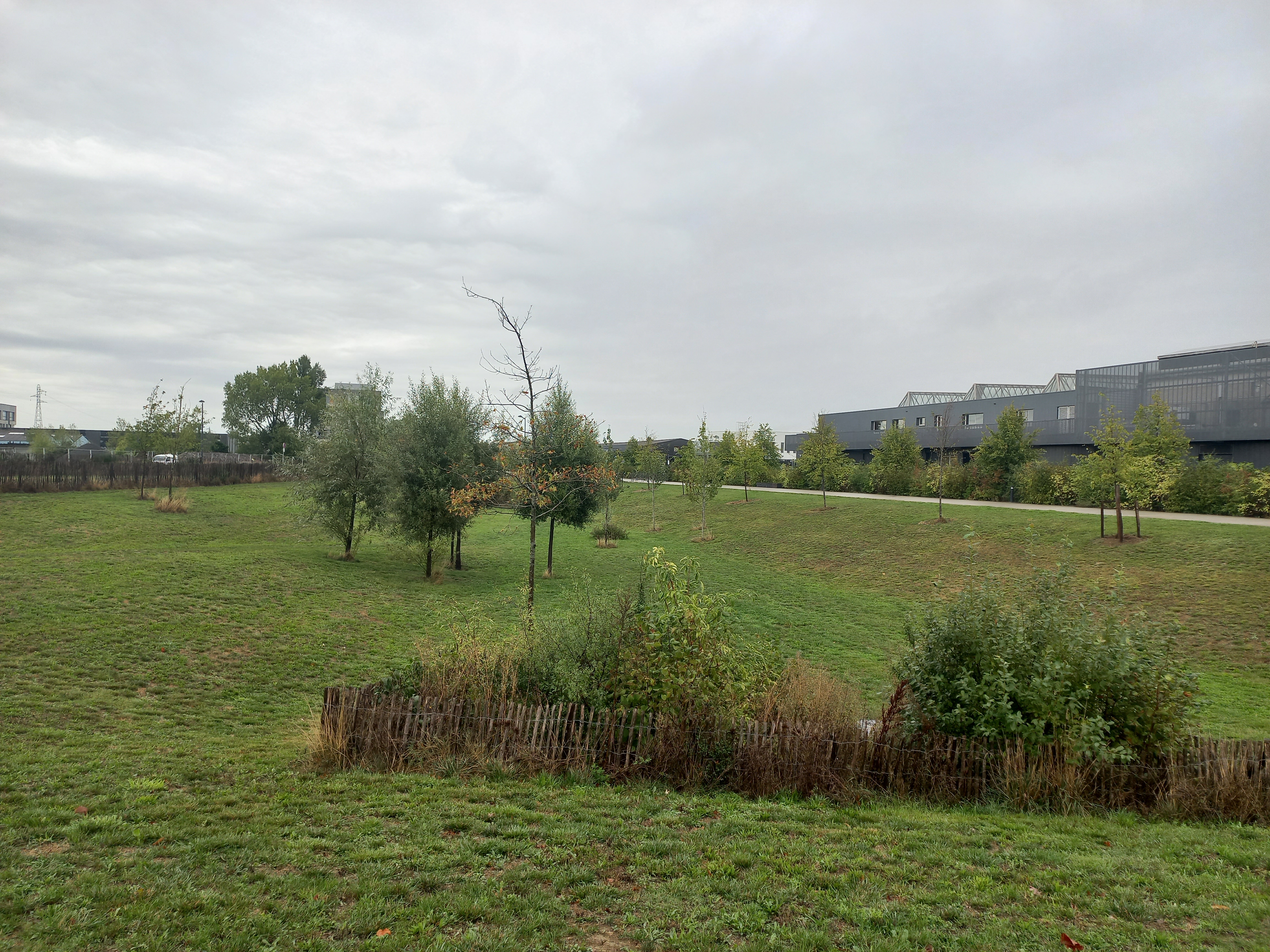 Angers- parc Saint-Serge_1