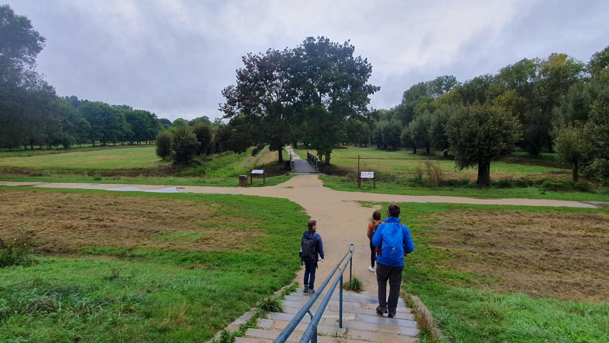 personnes marchant dans un parc