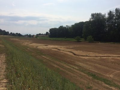 Zone d'expansion de crue à Vendenheim