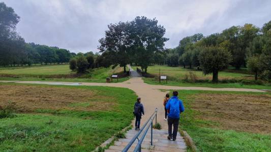 personnes marchant dans un parc