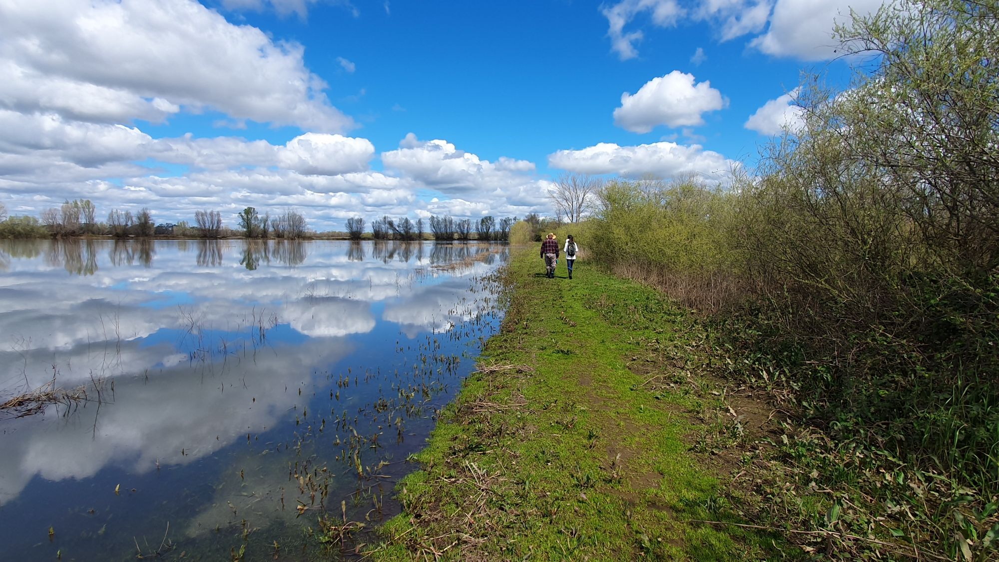 Image Cosumnes River deux personnes marchent le long d'un plan d'eau