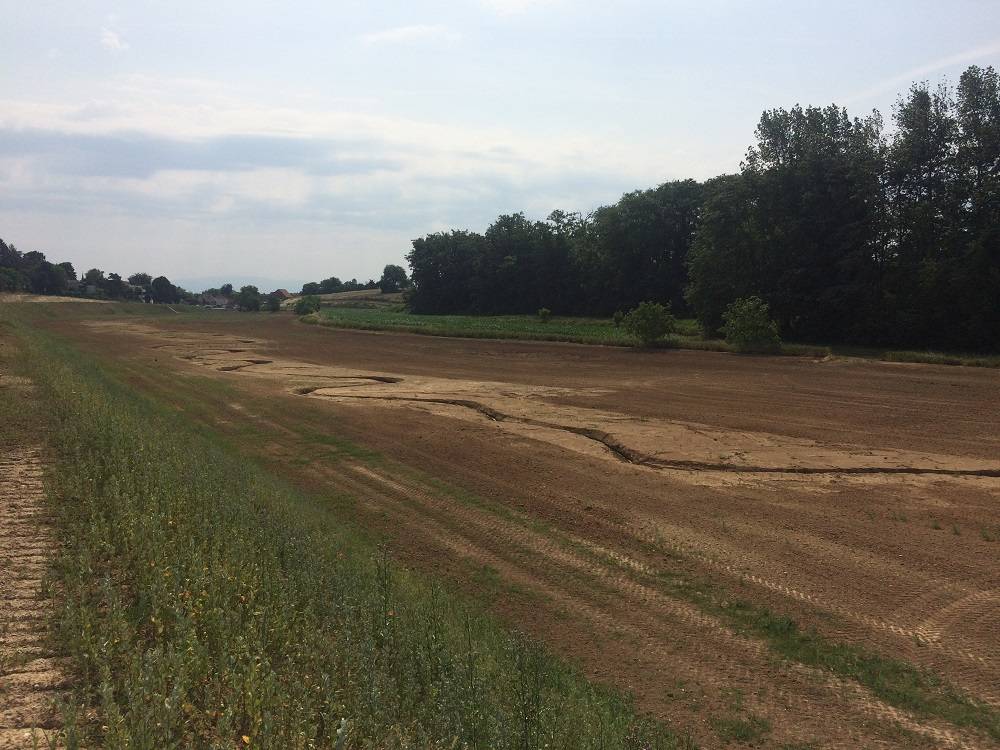 Zone d'expansion de crue à Vendenheim