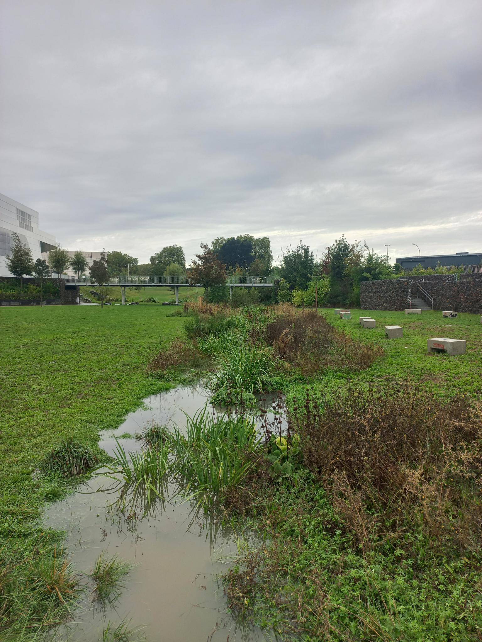 eau, végétation, parc