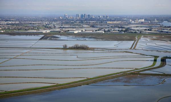Fig.YoloBaypass_California_red