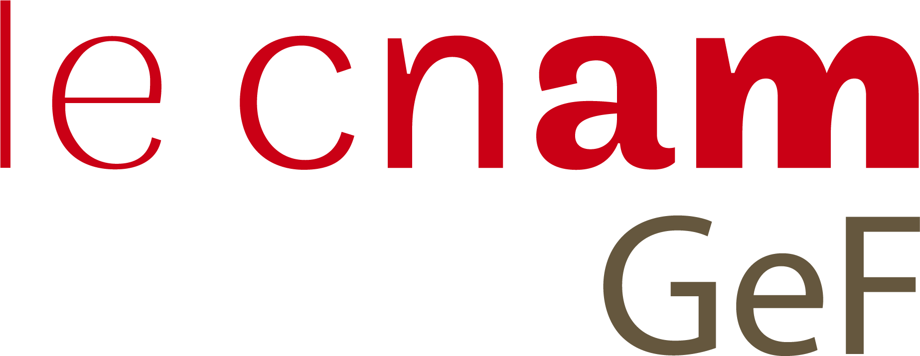 logo CNAM